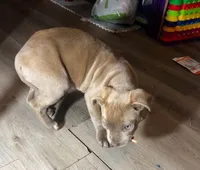 processed/9e810970-301e-470e-a808-8bc8bc942009/listing/9fbfbba3-1ca8-483f-b858-2089b1df0006/ed4e5f88-0af7-4b04-b059-b5ed336298aa