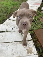 processed/9e810970-301e-470e-a808-8bc8bc942009/listing/9fbfbba3-1ca8-483f-b858-2089b1df0006/f269b669-7ea1-4979-b7b2-bd416c230c96