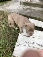 processed/9e810970-301e-470e-a808-8bc8bc942009/listing/9fbfbba3-1ca8-483f-b858-2089b1df0006/ff9caa2a-6657-4041-9e0a-ce3c4e153878