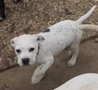 processed/9e810970-301e-470e-a808-8bc8bc942009/listing/ca8651ef-c2d4-41c8-9a12-bde7178bfcbb/0f266d16-a8cf-4965-b980-677fe8d57041