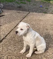 processed/9e810970-301e-470e-a808-8bc8bc942009/listing/ca8651ef-c2d4-41c8-9a12-bde7178bfcbb/392ed29b-1e89-4bbd-8eb0-a64ed7c13f8b