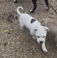 processed/9e810970-301e-470e-a808-8bc8bc942009/listing/ca8651ef-c2d4-41c8-9a12-bde7178bfcbb/d38d092c-cc21-4102-9604-3760cf28304c