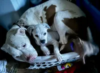 processed/9e810970-301e-470e-a808-8bc8bc942009/listing/ca8651ef-c2d4-41c8-9a12-bde7178bfcbb/ee96aaa9-58a3-4df6-9a4a-b5beb1d3d261