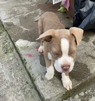 processed/9e810970-301e-470e-a808-8bc8bc942009/listing/e38e6919-2216-4e87-9a2d-b7e3d834bdda/12f81369-8e4b-4f46-b973-bf197acc8bdd