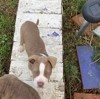 processed/9e810970-301e-470e-a808-8bc8bc942009/listing/e38e6919-2216-4e87-9a2d-b7e3d834bdda/16c5745a-bf38-45dc-a7d7-c19b0c588a60