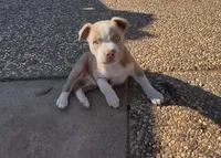 processed/9e810970-301e-470e-a808-8bc8bc942009/listing/e38e6919-2216-4e87-9a2d-b7e3d834bdda/6a18ece9-87c1-4bfa-9c6f-172f8840feaf