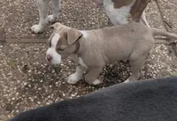 processed/9e810970-301e-470e-a808-8bc8bc942009/listing/e38e6919-2216-4e87-9a2d-b7e3d834bdda/6d8b0546-7fd9-44f7-8a15-c66c04979c7f