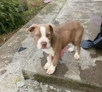 processed/9e810970-301e-470e-a808-8bc8bc942009/listing/e38e6919-2216-4e87-9a2d-b7e3d834bdda/6f0d8517-529e-4aef-bae1-723318320283