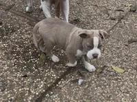 processed/9e810970-301e-470e-a808-8bc8bc942009/listing/e38e6919-2216-4e87-9a2d-b7e3d834bdda/e6049554-7bd8-49e2-a5fa-bcd3d05abf3b