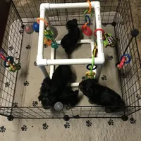 processed/9e961802-03db-4568-9bf3-3c60dbe52b35/facility/0ee4d020-fdd5-46ad-b964-3ee49b88f3d6