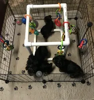 processed/9e961802-03db-4568-9bf3-3c60dbe52b35/facility/0ee4d020-fdd5-46ad-b964-3ee49b88f3d6