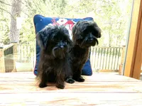 processed/9e961802-03db-4568-9bf3-3c60dbe52b35/listing/71c95a10-6cf7-4e8a-ba08-cbcf6be1423d/4cc5fa0f-400a-40f4-99a9-ea03b36eeebf