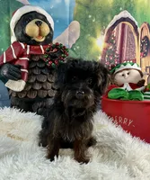 processed/9e961802-03db-4568-9bf3-3c60dbe52b35/listing/71c95a10-6cf7-4e8a-ba08-cbcf6be1423d/5e15ad0e-18dc-4081-b8ba-63438abdfaa2