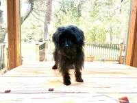 processed/9e961802-03db-4568-9bf3-3c60dbe52b35/listing/71c95a10-6cf7-4e8a-ba08-cbcf6be1423d/b84dad31-03ce-4a75-95c9-9a715a30c82e