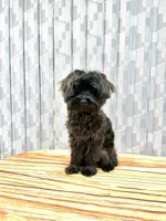 processed/9e961802-03db-4568-9bf3-3c60dbe52b35/listing/ee622ea9-0215-4578-a8f7-5ae0429ba199/0088b31c-a505-4b7f-a77c-5288900871e6