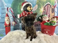 processed/9e961802-03db-4568-9bf3-3c60dbe52b35/listing/ee622ea9-0215-4578-a8f7-5ae0429ba199/176176ed-d313-4899-ac36-e3065ce5a8f3