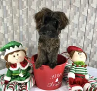 processed/9e961802-03db-4568-9bf3-3c60dbe52b35/listing/ee622ea9-0215-4578-a8f7-5ae0429ba199/26d9e756-c056-4334-bbf1-8525e06855a5