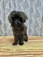 processed/9e961802-03db-4568-9bf3-3c60dbe52b35/listing/ee622ea9-0215-4578-a8f7-5ae0429ba199/b5cf70a0-50e8-4631-b2e6-faaa9e0e44ba