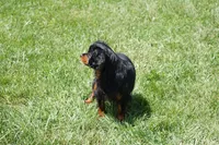 processed/9e962f4b-2712-4b74-b786-a0d19e9a4cd7/listing/a2ef33d6-42bd-4a29-b354-ad78c3160ec6/074c3282-5f52-416c-8e3a-865b27cba629