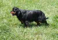 processed/9e962f4b-2712-4b74-b786-a0d19e9a4cd7/listing/a2ef33d6-42bd-4a29-b354-ad78c3160ec6/114594dc-903c-4f97-9d3e-17aaf941e26d