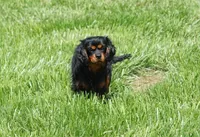 processed/9e962f4b-2712-4b74-b786-a0d19e9a4cd7/listing/a2ef33d6-42bd-4a29-b354-ad78c3160ec6/34a8697a-810b-4e27-9c67-e5b88dd4cdfe