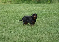 processed/9e962f4b-2712-4b74-b786-a0d19e9a4cd7/listing/a2ef33d6-42bd-4a29-b354-ad78c3160ec6/44ab2977-b790-476e-bbc9-7f3645f15a6d