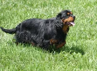 processed/9e962f4b-2712-4b74-b786-a0d19e9a4cd7/listing/a2ef33d6-42bd-4a29-b354-ad78c3160ec6/d0e12c04-569e-4bae-b4d6-b45044b42cfb