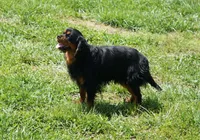 processed/9e962f4b-2712-4b74-b786-a0d19e9a4cd7/listing/a2ef33d6-42bd-4a29-b354-ad78c3160ec6/f1b40197-2e66-4fee-8f7c-6128910f227b