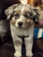 processed/9eb4eb61-ca21-41d0-8c9b-588a24841497/facility/082b4936-fd38-4b8e-b296-b2f0c5595fa9