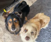 processed/9eb4eb61-ca21-41d0-8c9b-588a24841497/facility/241bd230-209f-4a29-98d1-53f59638070e