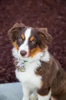 processed/9eb4eb61-ca21-41d0-8c9b-588a24841497/facility/7dfeb0c5-5200-41c1-8f94-f221d1ca2d12