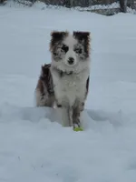 processed/9eb4eb61-ca21-41d0-8c9b-588a24841497/facility/81ff5bc9-81e5-4aed-8eb4-81bff2132cee