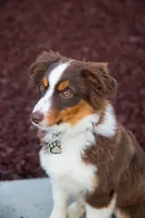 processed/9eb4eb61-ca21-41d0-8c9b-588a24841497/facility/c8d64950-6eca-4047-a3e5-9857285acccc