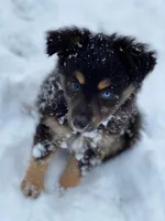 processed/9eb4eb61-ca21-41d0-8c9b-588a24841497/facility/de12c2cf-e028-4936-b826-5a6fdfda69e0