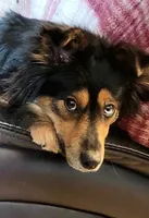 processed/9eb4eb61-ca21-41d0-8c9b-588a24841497/facility/edebfa62-a94b-45a7-8858-ef15d86b2a85