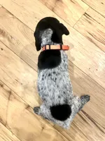 Elvira, a female German Shorthaired Pointer for sale in Emlenton, PA – Photo 2 of 3