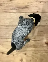 Goose, a female German Shorthaired Pointer for sale in Emlenton, PA – Photo 2 of 3