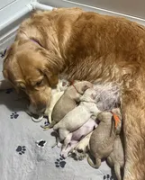 processed/9ec08c3e-9a45-4db7-893e-3eaeaf6f8507/facility/a6627c8a-fb37-49ba-82ff-2e6b5c138b1e