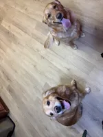 processed/9ec08c3e-9a45-4db7-893e-3eaeaf6f8507/facility/dc5d29c1-783e-4cc4-88d0-6820e1674158