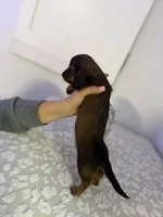 processed/9eca212c-f8e1-49e2-877a-df762d6c7af2/listing/3e5001b9-c5cd-4cb6-88e8-80770e819be4/05b59505-0311-4ab9-9ba6-b85ff8c8f1a8