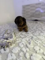 processed/9eca212c-f8e1-49e2-877a-df762d6c7af2/listing/3e5001b9-c5cd-4cb6-88e8-80770e819be4/07371b6e-d864-4293-896f-a2c6ef1d10e8