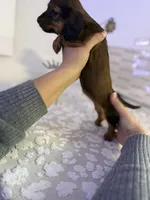 processed/9eca212c-f8e1-49e2-877a-df762d6c7af2/listing/3e5001b9-c5cd-4cb6-88e8-80770e819be4/37585737-c22b-41a8-9af6-b931447f96a4