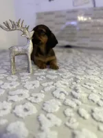 processed/9eca212c-f8e1-49e2-877a-df762d6c7af2/listing/3e5001b9-c5cd-4cb6-88e8-80770e819be4/47e9d0a9-6223-4fdc-8859-45c489bec28f