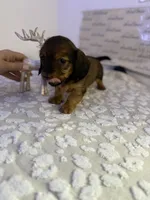 processed/9eca212c-f8e1-49e2-877a-df762d6c7af2/listing/3e5001b9-c5cd-4cb6-88e8-80770e819be4/7c1a865e-9cf5-43b7-b5f5-f6f10f53caaf