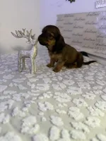 processed/9eca212c-f8e1-49e2-877a-df762d6c7af2/listing/3e5001b9-c5cd-4cb6-88e8-80770e819be4/d214301a-21de-47df-86db-b7cf11fa1738