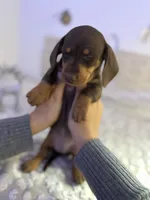 processed/9eca212c-f8e1-49e2-877a-df762d6c7af2/listing/55c93981-0bad-477c-b6e6-2e4b22f1da4a/01f60391-5a69-44b4-80bf-a77e2577c0e4