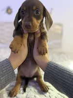 processed/9eca212c-f8e1-49e2-877a-df762d6c7af2/listing/55c93981-0bad-477c-b6e6-2e4b22f1da4a/0f5e0258-d201-4587-88e2-798cdfd0621d