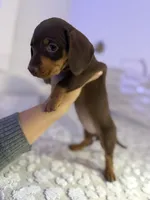 processed/9eca212c-f8e1-49e2-877a-df762d6c7af2/listing/55c93981-0bad-477c-b6e6-2e4b22f1da4a/473ec4f3-cb36-4cc3-9fcc-bb534f249fcd