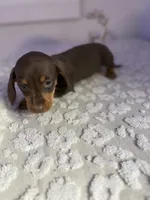 processed/9eca212c-f8e1-49e2-877a-df762d6c7af2/listing/55c93981-0bad-477c-b6e6-2e4b22f1da4a/8eb7aa27-a2c0-445f-890c-d3fef72157e0