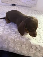 processed/9eca212c-f8e1-49e2-877a-df762d6c7af2/listing/55c93981-0bad-477c-b6e6-2e4b22f1da4a/d9d3f65c-0957-4355-bde5-a44e3a840a85